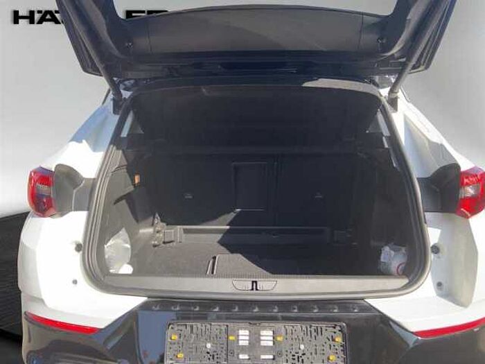 Opel Grandland X GS Lime Automatik *Ultimate-Paket* *LED* *Navi* *Kamera* *Alcantara*