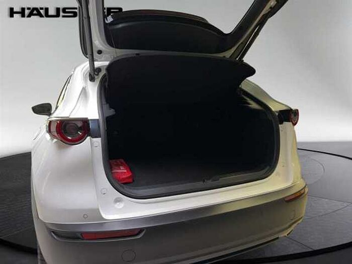 Mazda CX-30 2.0 Nagisa Automatik LED Navi BOSE Kamera