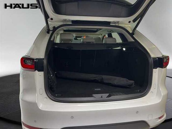 Mazda CX-60 Takumi 2.5 PHEV AWD Automatik Leder Schiebedach