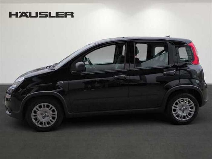 Fiat Panda Hybrid 1.0 GSE Klimaanlage Einparkhile hinten
