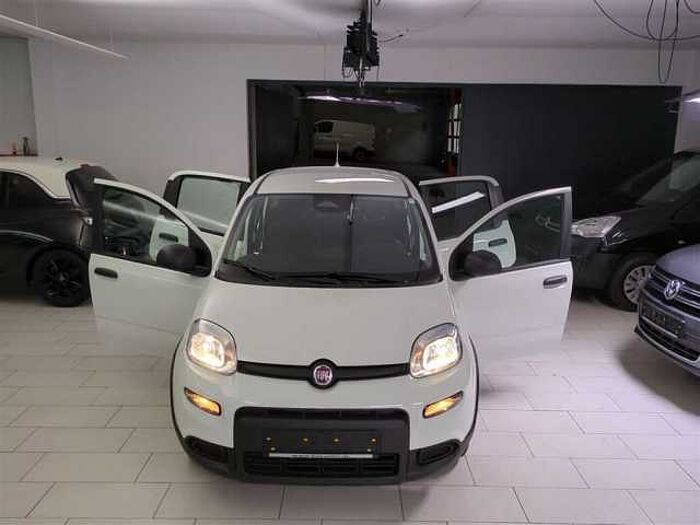 Fiat Panda Hybrid 1.0 GSE Klimaanlage Einparkhile hinten