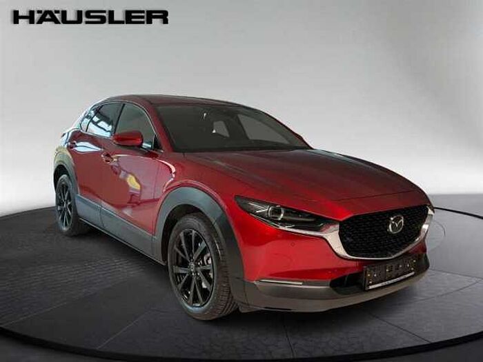 Mazda CX-30 Selection 2.0 Automatik Navi Rückfahrkamera LED