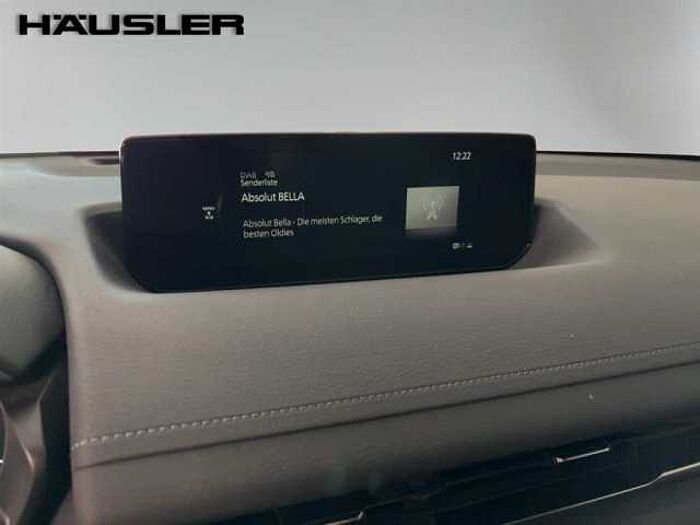 Mazda MX-30 e-SKYACTIV Navi LED Kamera Verkehrsschilderkennung