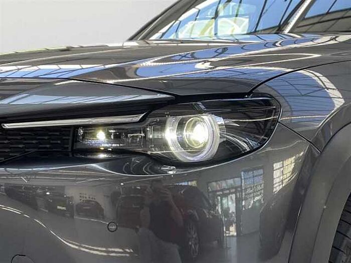 Mazda MX-30 Advantage e-SKYACTIV *Navi*Kamera*Head-Up-Display*Carplay*