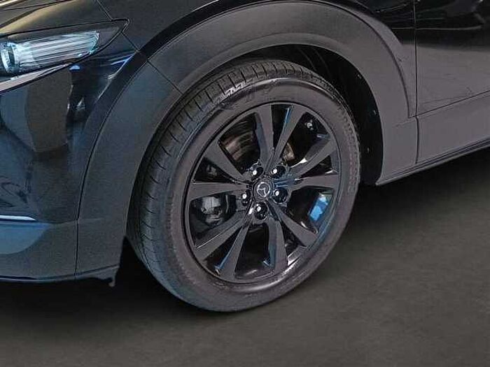 Mazda CX-30 2.0 Homura AHK CarPlay ACC Navi LED Kamera