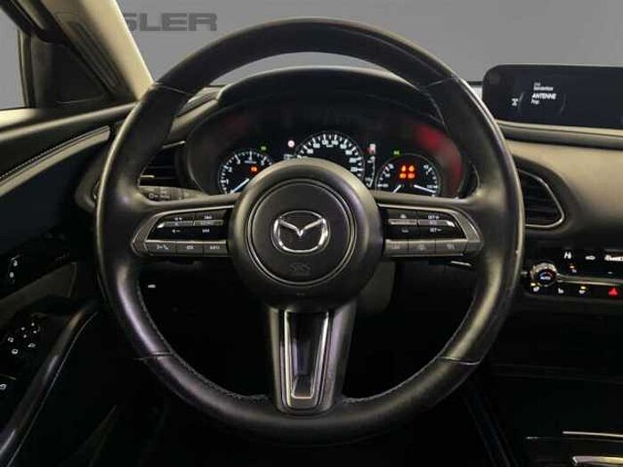 Mazda CX-30 2.0 Selection M-Hybrid Automatik LED Kamera Bose