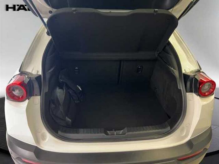 Mazda MX-30 Kamera Sitzheizung LED Navigation PDC