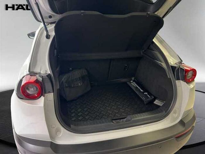 Mazda MX-30 SKYACTIV Klimaautomatik Rückfahrkamera Navi LED