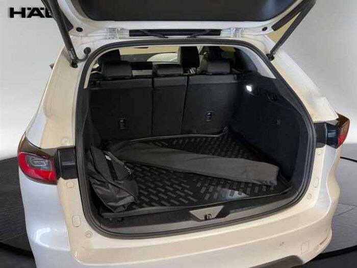 Mazda CX-60 Homura 2.5 AWD Leder Kamera ACC LED Sitzbelüftung