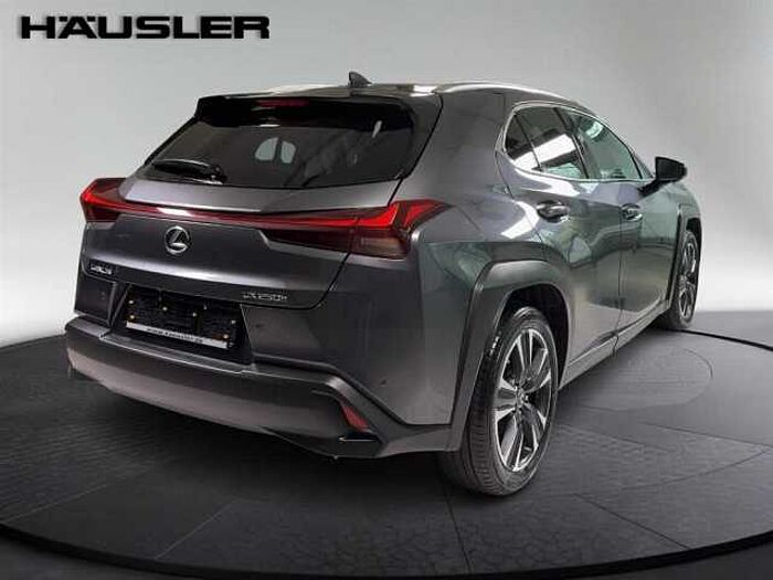 Lexus UX 250h Style Edition Automatik PDC Navi Kamera LED