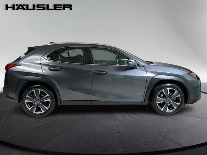 Lexus UX 250h Style Edition Automatik PDC Navi Kamera LED