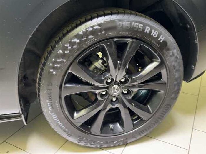 Mazda CX-30 2.0 SKYACTIV-G Homura PDC Navi Kamera Sitzheizung