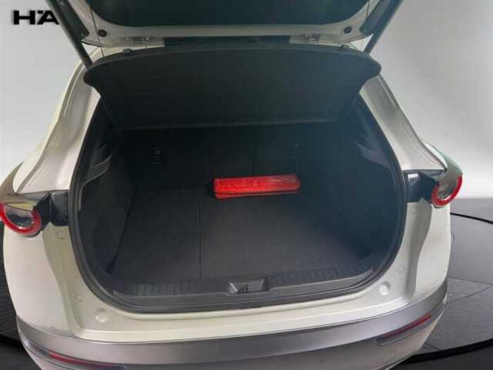 Mazda CX-30 Exclusive-line 2.0 Automatik Navi LED Kamera