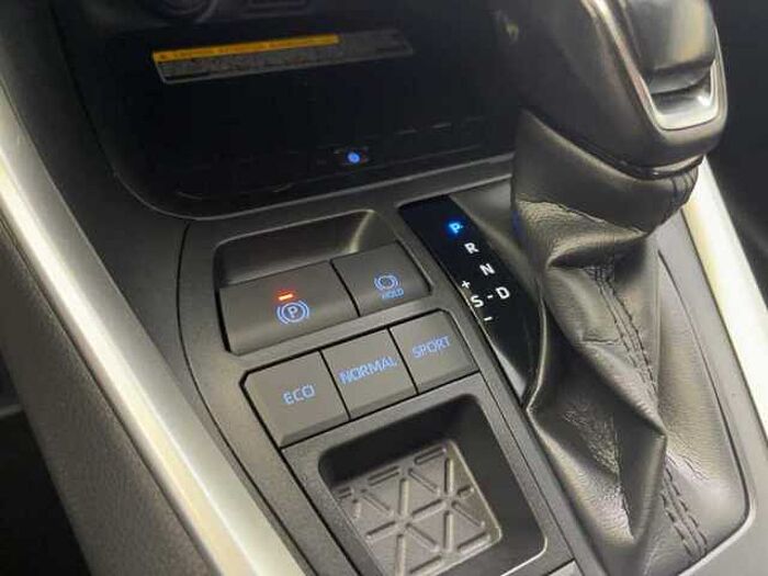 Toyota RAV 4 2.5H Team Deutschland Kamera LED Navi Keyless PDC
