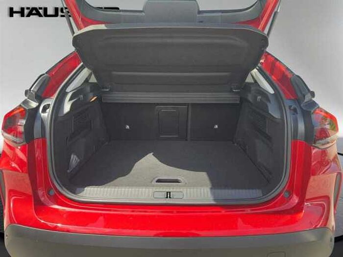Citroen C4 Max 130PS AT8 HeadUp, Klimaauto Navi, Kamera, LED