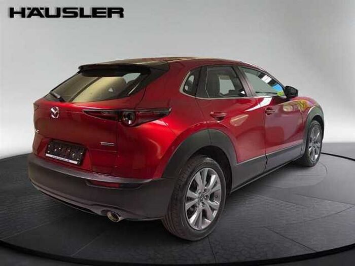 Mazda CX-30 Selection 2.0 Leder Kamera Schiebedach LED Navi