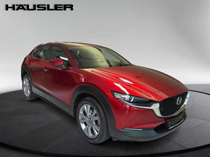 Mazda CX-30 Selection 2.0 Leder Kamera Schiebedach LED Navi