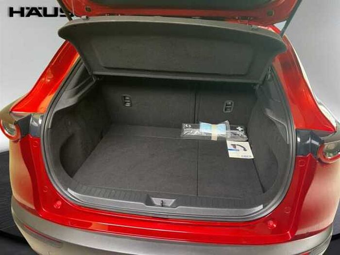 Mazda CX-30 Selection 2.0 Leder Kamera Schiebedach LED Navi