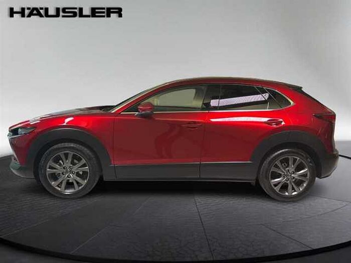 Mazda CX-30 Selection 2.0 Leder Kamera Lenkradheizung LED Navi
