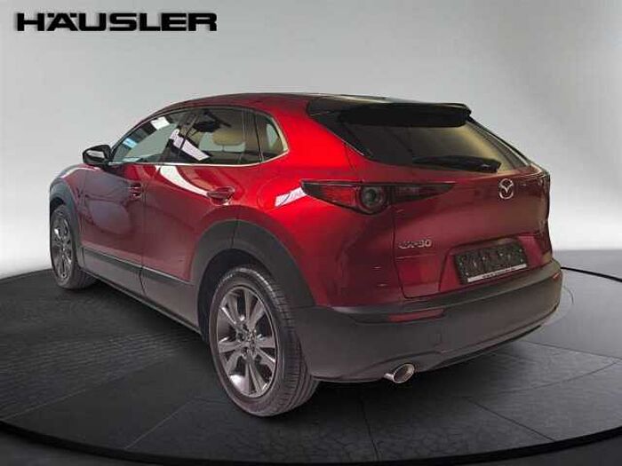 Mazda CX-30 Selection 2.0 Leder Kamera Lenkradheizung LED Navi
