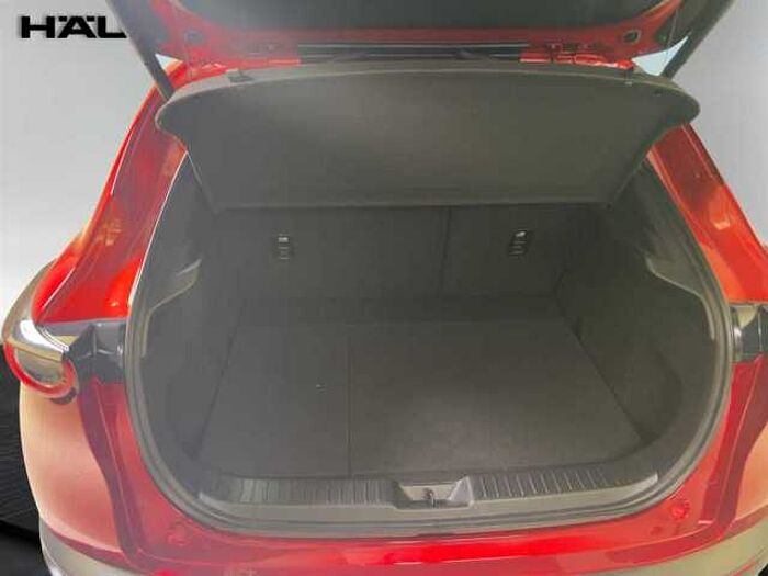 Mazda CX-30 Selection 2.0 Leder Kamera Lenkradheizung LED Navi
