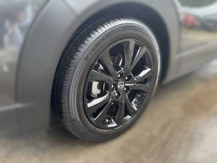 Mazda CX-30 2.0 SKYACTIV-X Homura Navi, Kamera, El. Heck