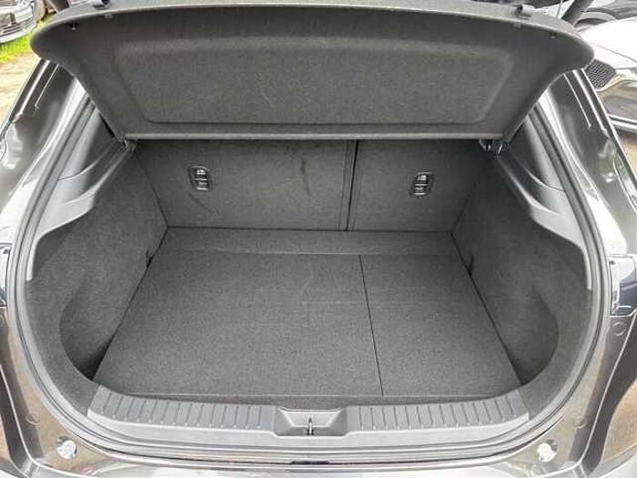 Mazda CX-30 2.0 SKYACTIV-X Homura Navi, Kamera, El. Heck