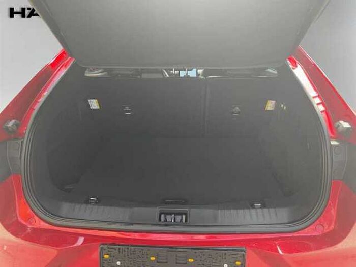 Ford Mustang Mach-E Mustang MACH-E Basis Kamera Navi Panoramadach LED