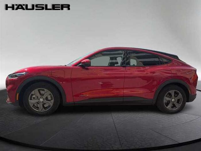 Ford Mustang Mach-E Mustang MACH-E Basis Kamera Navi Panoramadach LED