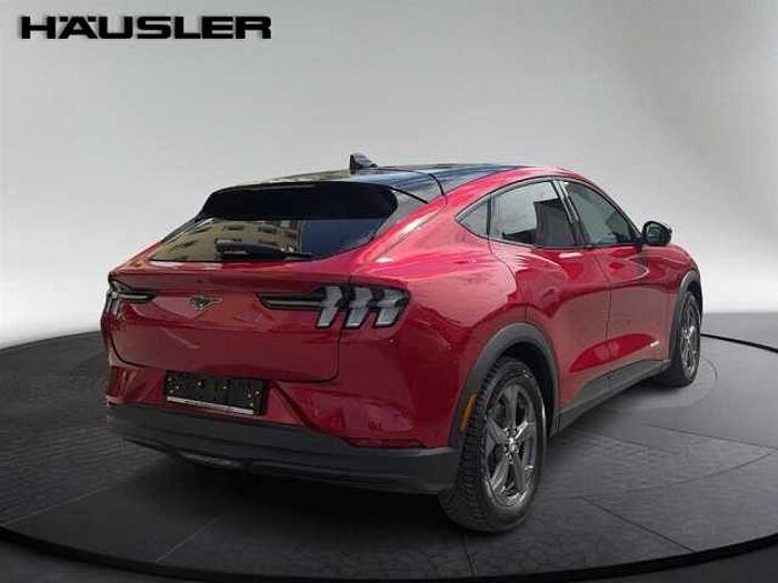 Ford Mustang Mach-E Mustang MACH-E Basis Kamera Navi Panoramadach LED