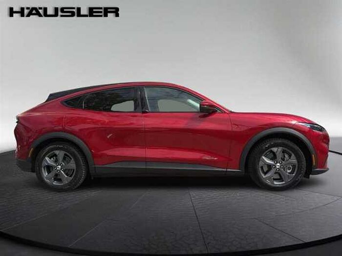 Ford Mustang Mach-E Mustang MACH-E Basis Kamera Navi Panoramadach LED