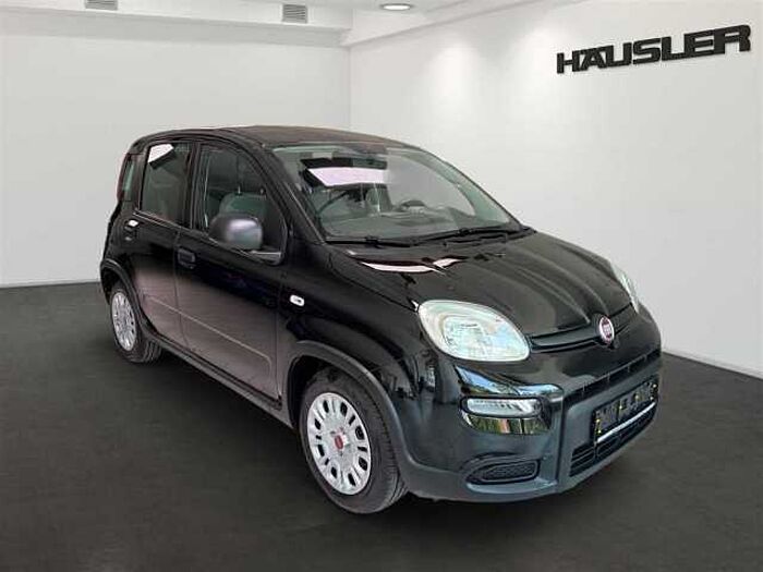 Fiat Panda 1.0 Klimaanlage Multifunktionslenkrad Start-Stop