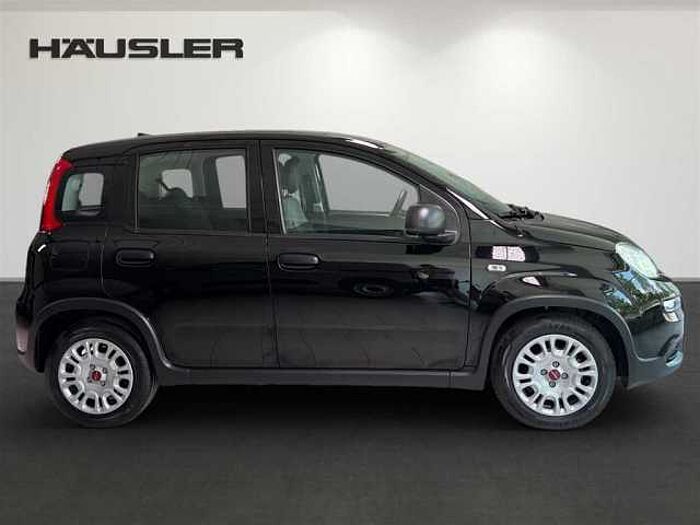 Fiat Panda 1.0 Klimaanlage Multifunktionslenkrad Start-Stop