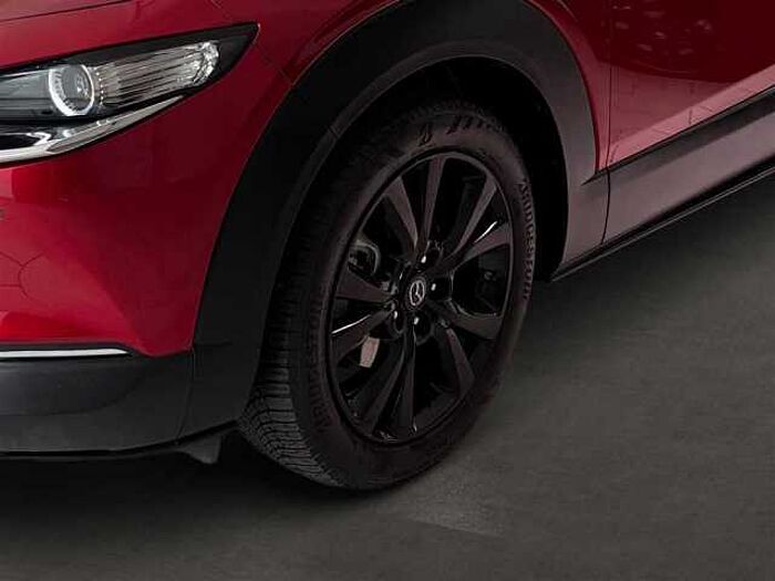 Mazda CX-30 Homura 2.0 Automatik Kamera LED KeyLess Navi