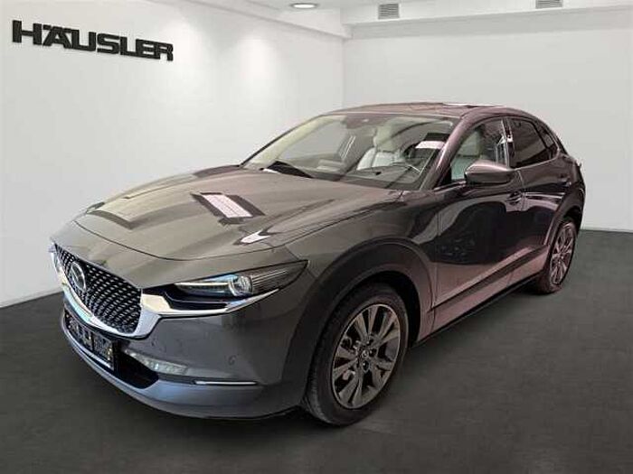 Mazda CX-30 Selection 2.0 Automatik Leder Kamera Schiebedach