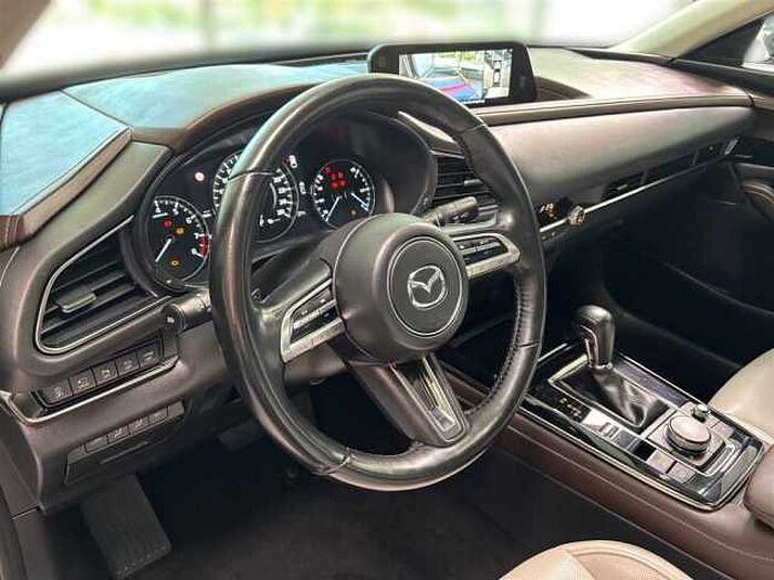 Mazda CX-30 Selection 2.0 Automatik Leder Kamera Schiebedach