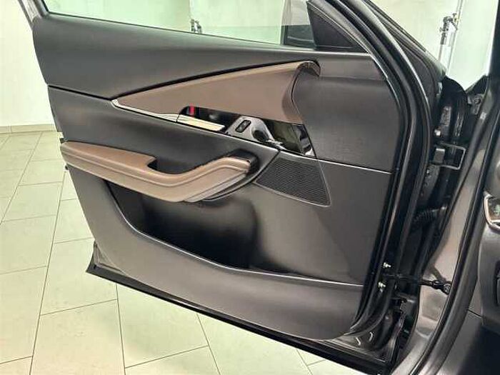 Mazda CX-30 Selection 2.0 Automatik Leder Kamera Schiebedach