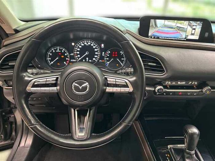 Mazda CX-30 Selection 2.0 Automatik Leder Kamera Schiebedach