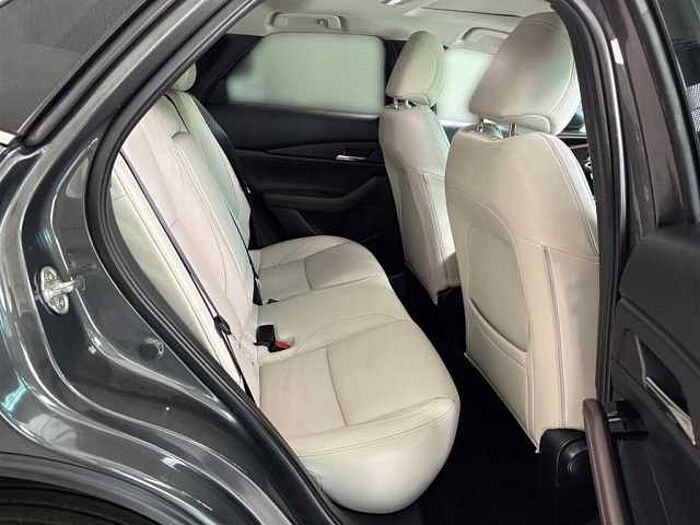 Mazda CX-30 Selection 2.0 Automatik Leder Kamera Schiebedach