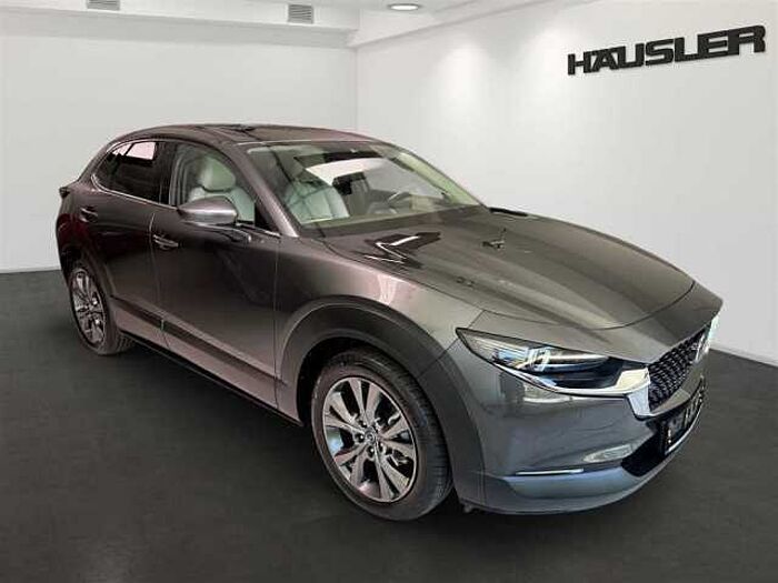 Mazda CX-30 Selection 2.0 Automatik Leder Kamera Schiebedach
