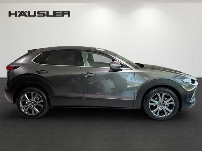 Mazda CX-30 Selection 2.0 Automatik Leder Kamera Schiebedach