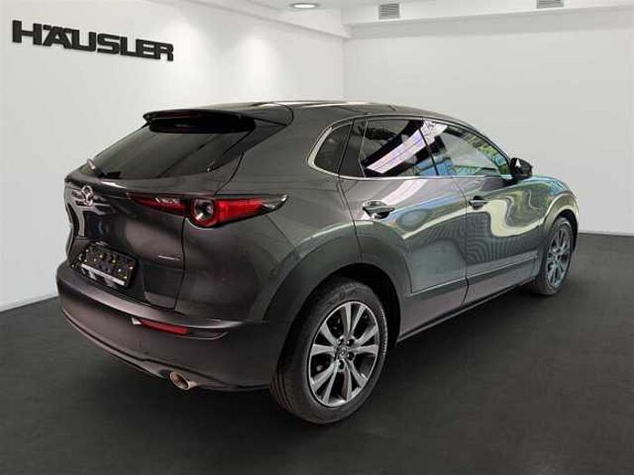 Mazda CX-30 Selection 2.0 Automatik Leder Kamera Schiebedach