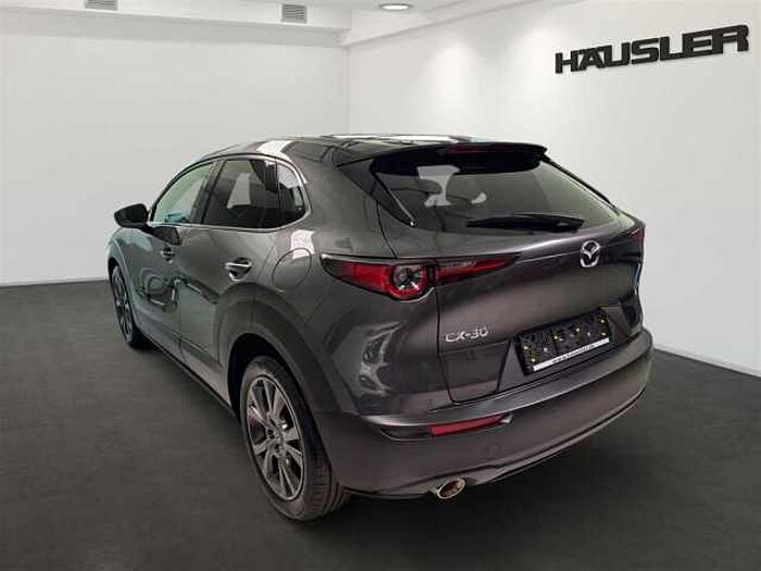 Mazda CX-30 Selection 2.0 Automatik Leder Kamera Schiebedach