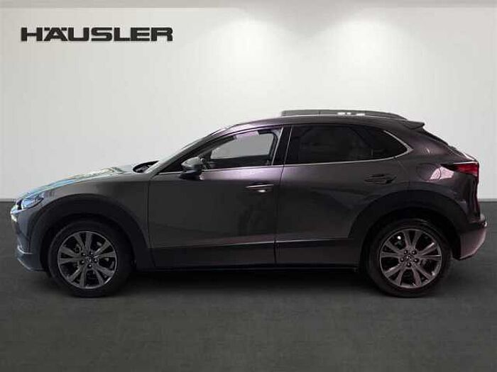 Mazda CX-30 Selection 2.0 Automatik Leder Kamera Schiebedach
