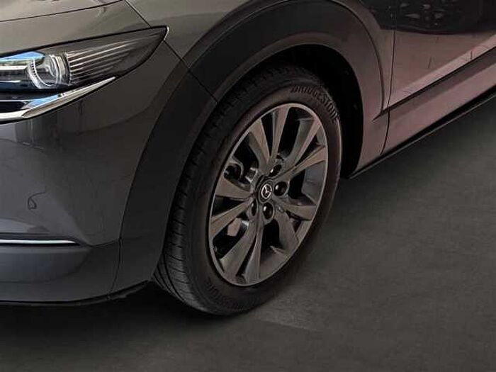 Mazda CX-30 Selection 2.0 Automatik Leder Kamera Schiebedach