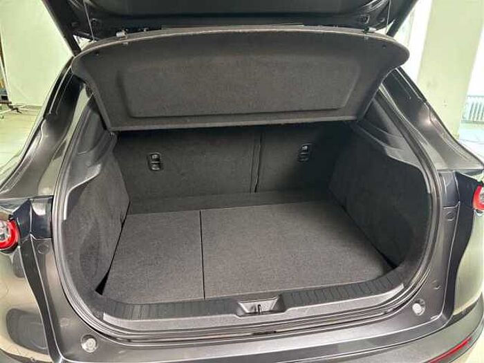 Mazda CX-30 Selection 2.0 Automatik Leder Kamera Schiebedach