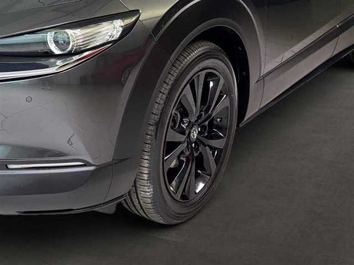 Mazda CX-30 Homura 2.0 AWD Automatik LED Navi Kamera ACC PDC