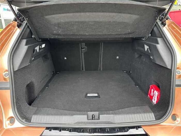 Opel Grandland X Electric GS 143 PS LED PDC Kamera CarPlay Klimaauto uvm.