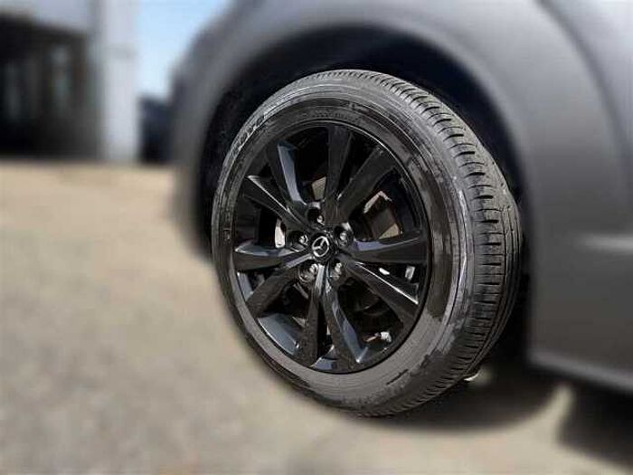 Mazda CX-30 2.0 Homura SKYACTIV mit Sitzheizung Rückfahrkamera BOSE Soundsystem Head-U