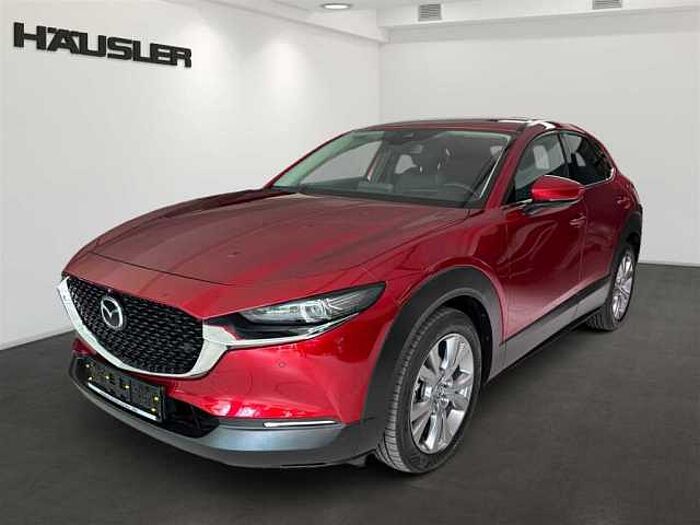 Mazda CX-30 2.0 Rückfahrkamera Klimaautomatik LED KeyLess Navi